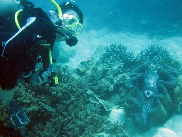 浪浪全身被洒柏油连医生都束手无策，他们不放弃决定自己动手洗